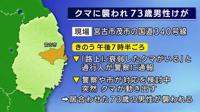 「路上に衰弱したクマ」突然動き出し男性襲われけが クマは山に逃げる 岩手県宮古市（岩手めんこいテレビ） - Yahoo!ニュース - Yahoo!ニュース