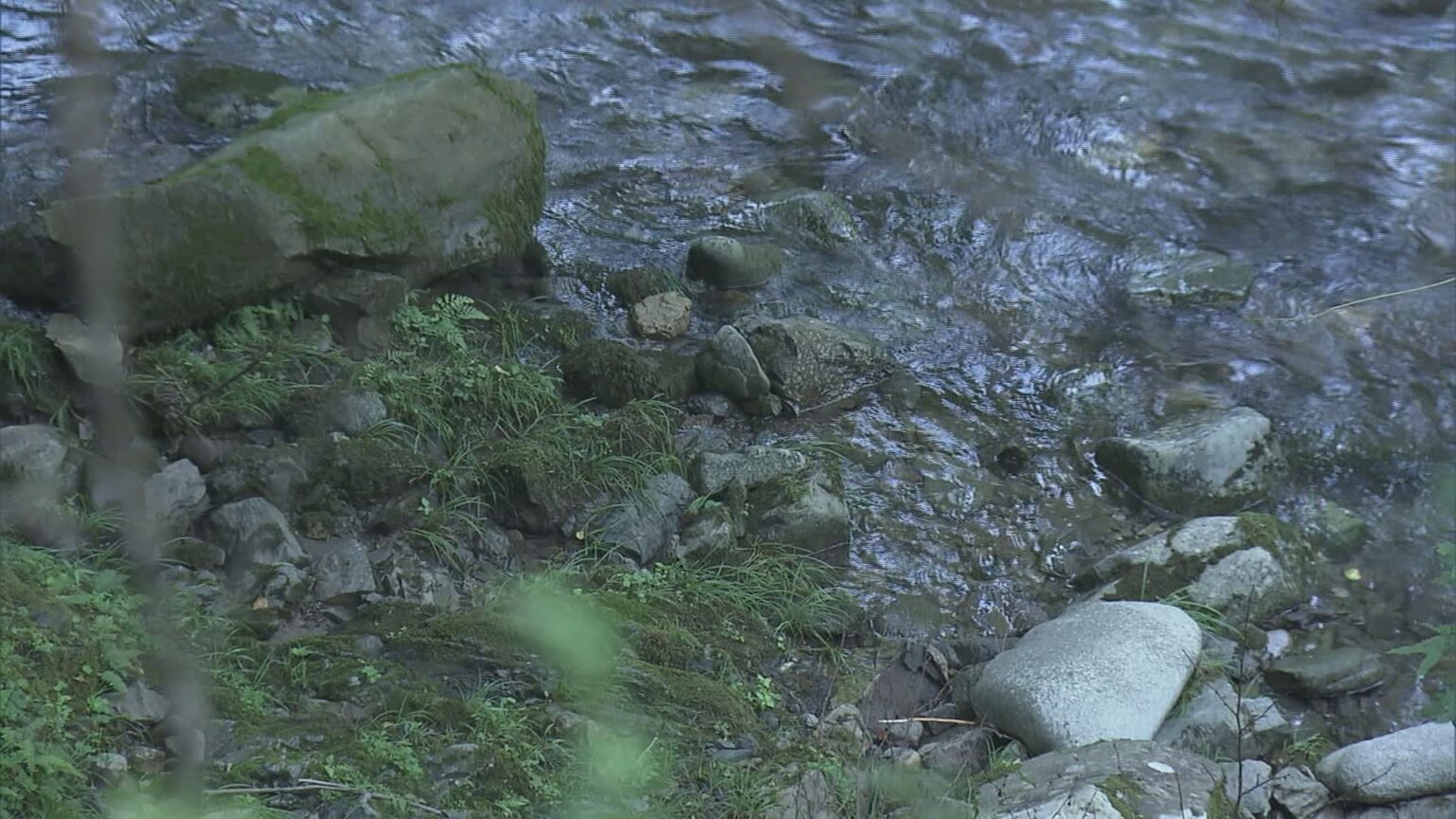 男女2人を殺人の疑いで再逮捕 岐阜・本巣市の“死体遺棄事件” 53歳女性の首を圧迫し窒息死させたか（CBCテレビ） - Yahoo!ニュース