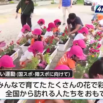 ２年後の「ひなた宮崎国スポ・障スポ」」へ 日南市で「花いっぱい運動」 - Yahoo!ニュース