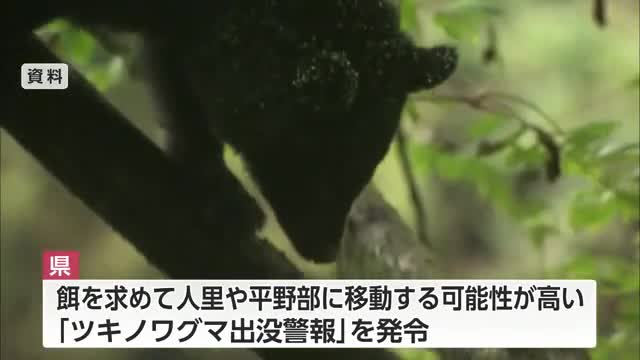 富山県がツキノワグマ出没警報を発令 ドングリ類の凶作不作で平野部の出没に警戒を（富山テレビ） - Yahoo!ニュース - Yahoo!ニュース