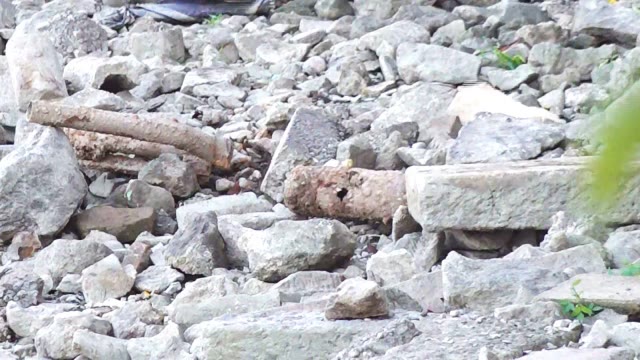 焼夷弾とみられる物が福井城址で見つかる 水を抜いた堀で工事現場の見学会中に発見 自衛隊が回収へ（福井テレビ） - Yahoo!ニュース - Yahoo!ニュース