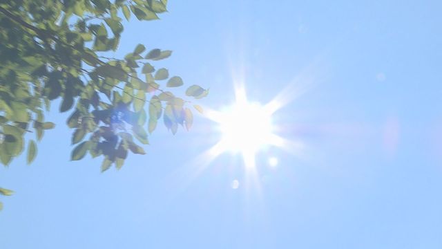 【猛暑】山口市で36.9℃！9月の観測史上最高記録を更新・猛暑日の記録も最多記録47日に並ぶ（ＫＲＹ山口放送） - Yahoo!ニュース - Yahoo!ニュース