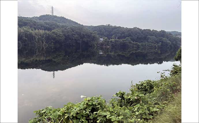 セリアのアジングワームを川で使ってみたら想定外の魚がヒット【愛知・豊田市水源公園】