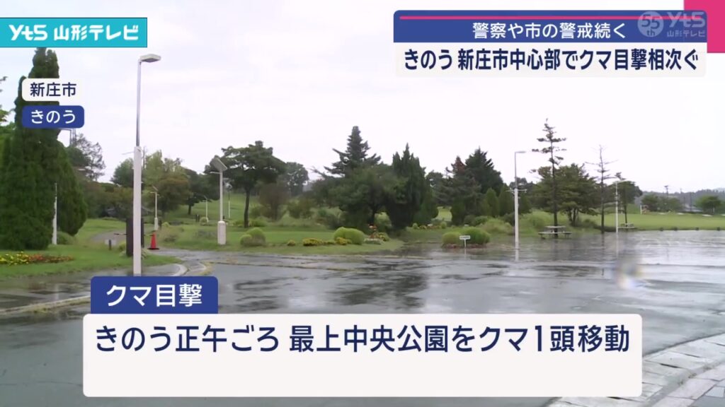 【山形】山形県新庄市の中心部でクマの目撃情報が相次ぐ（YTS山形テレビ） - Yahoo!ニュース