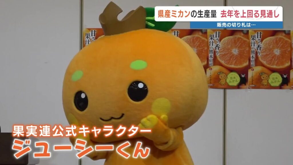 “大ぶりで糖度も高く” 熊本ミカンの生産量 去年を上回る見通し（RKK熊本放送） - Yahoo!ニュース