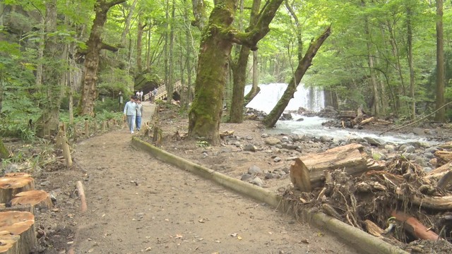紅葉に間に合った！大雨被害受けた奥入瀬渓流沿いの遊歩道が“大幅に前倒し”で通行再開！年度内の本復旧目指す 青森県十和田市（青森放送） - Yahoo!ニュース - Yahoo!ニュース
