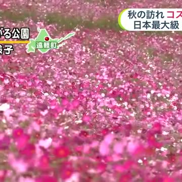 【北海道の天気予報10日(水)】また大気が非常に不安定に…あす未明から昼前にかけて激しい雷雨・突風・ひょうのおそれ！道北は最大80ミリも（北海道ニュースUHB） - Yahoo!ニュース - Yahoo!ニュース