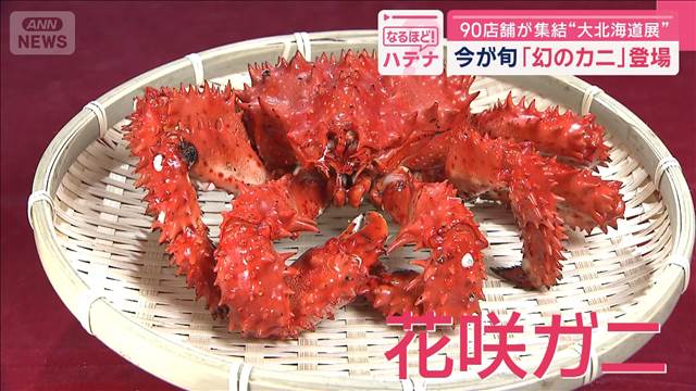 90店舗が集結“大北海道展” 今が旬「幻のカニ」登場 美味しい見分け方は？（テレビ朝日系（ANN）） - Yahoo!ニュース - Yahoo!ニュース