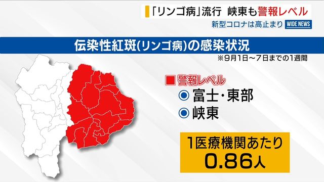 「リンゴ病」流行 峡東でも警報レベル入り 新型コロナも“高止まり” 山梨（YBS山梨放送） - Yahoo!ニュース