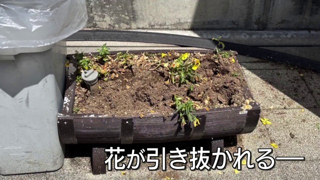 「タクシー来ず、むしゃくしゃした」 駅前で花48株を引き抜いた疑い 70歳の男逮捕 山梨・甲斐市（YBS山梨放送） - Yahoo!ニュース