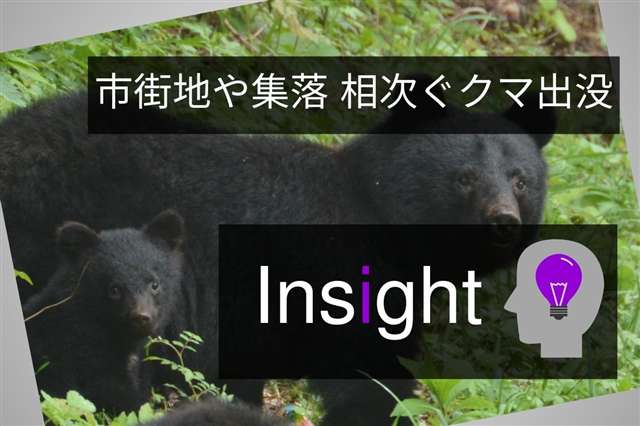 秋田市の居住区域５割にクマ出没 2023年を境に「より人里近くへ」 クマダス最新データを分析｜秋田魁新報電子版 - 秋田魁新報電子版