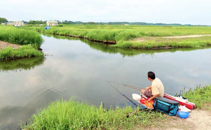 今週のヘラブナ推薦釣り場2025【千葉・新木水路】