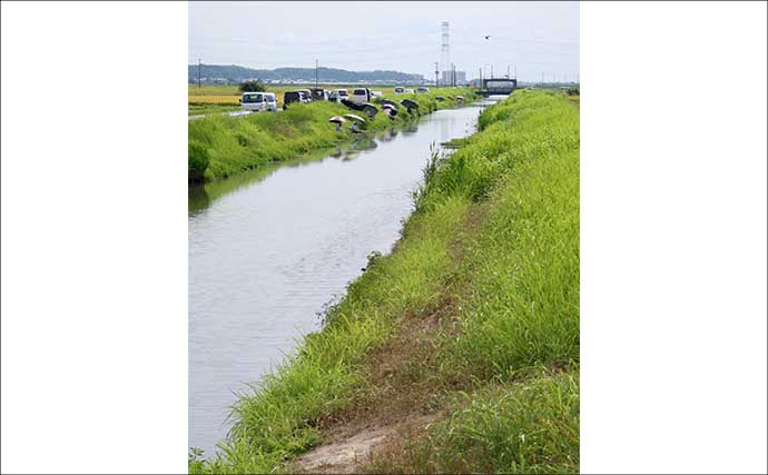 今週のヘラブナ推薦釣り場2025【千葉・新木水路】