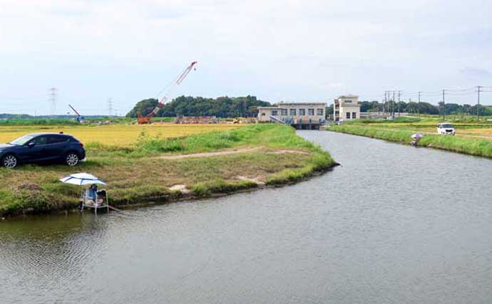 今週のヘラブナ推薦釣り場2025【千葉・新木水路】