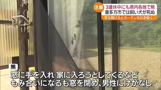 共有