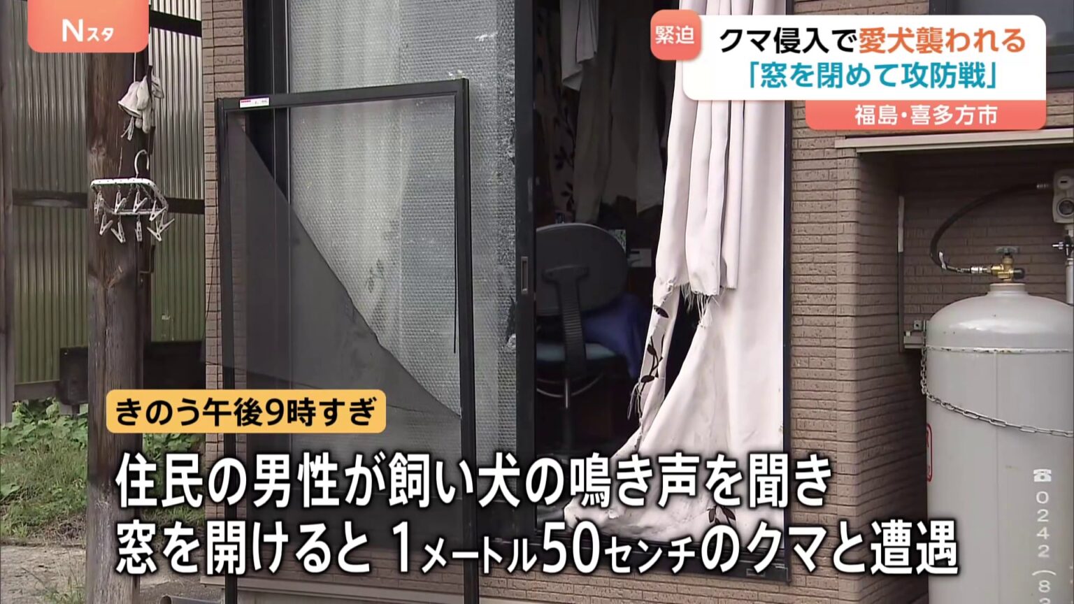 飼い犬の鳴き声を聞き窓を開けるとクマ「手が入ってきて…」 飼い犬は襲われ死ぬ　福島・喜多方市（TBS NEWS DIG Powered by JNN）