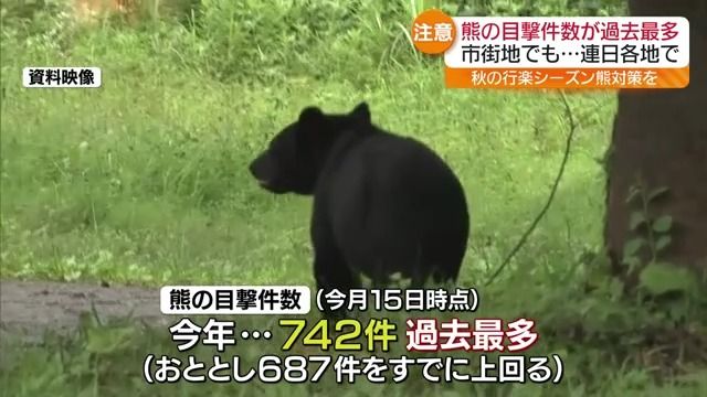 熊の目撃件数 9月時点で742件“過去最も多く”・福島（福島中央テレビ） - Yahoo!ニュース