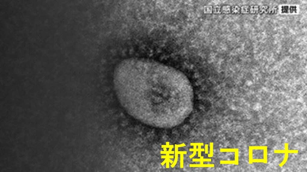 新型コロナウイルス感染者数 4週ぶりに減少 引き続き感染対策を 宮城（tbc東北放送） - Yahoo!ニュース