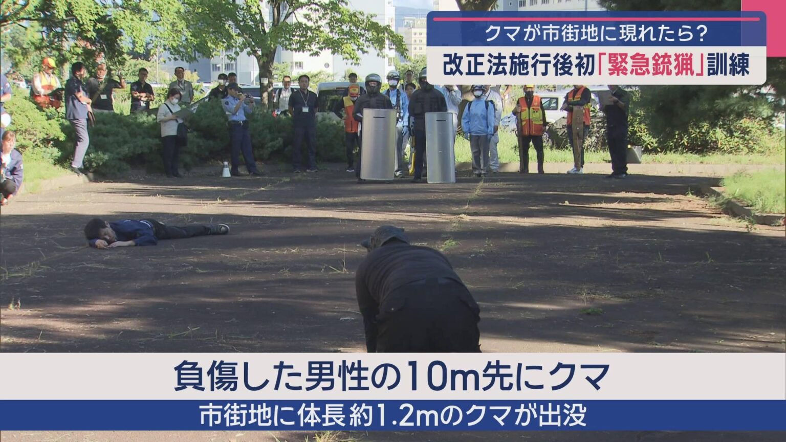 クマが市街地に現れたら？ 改正法施行後初「緊急銃猟」訓練／青森（ABA青森朝日放送） - Yahoo!ニュース - Yahoo!ニュース