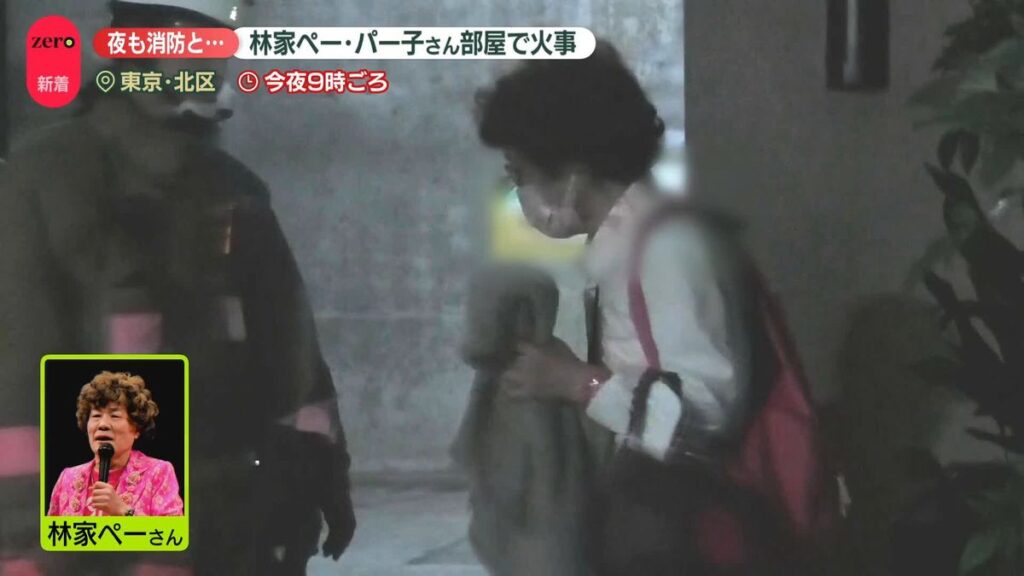 日本テレビ放送網