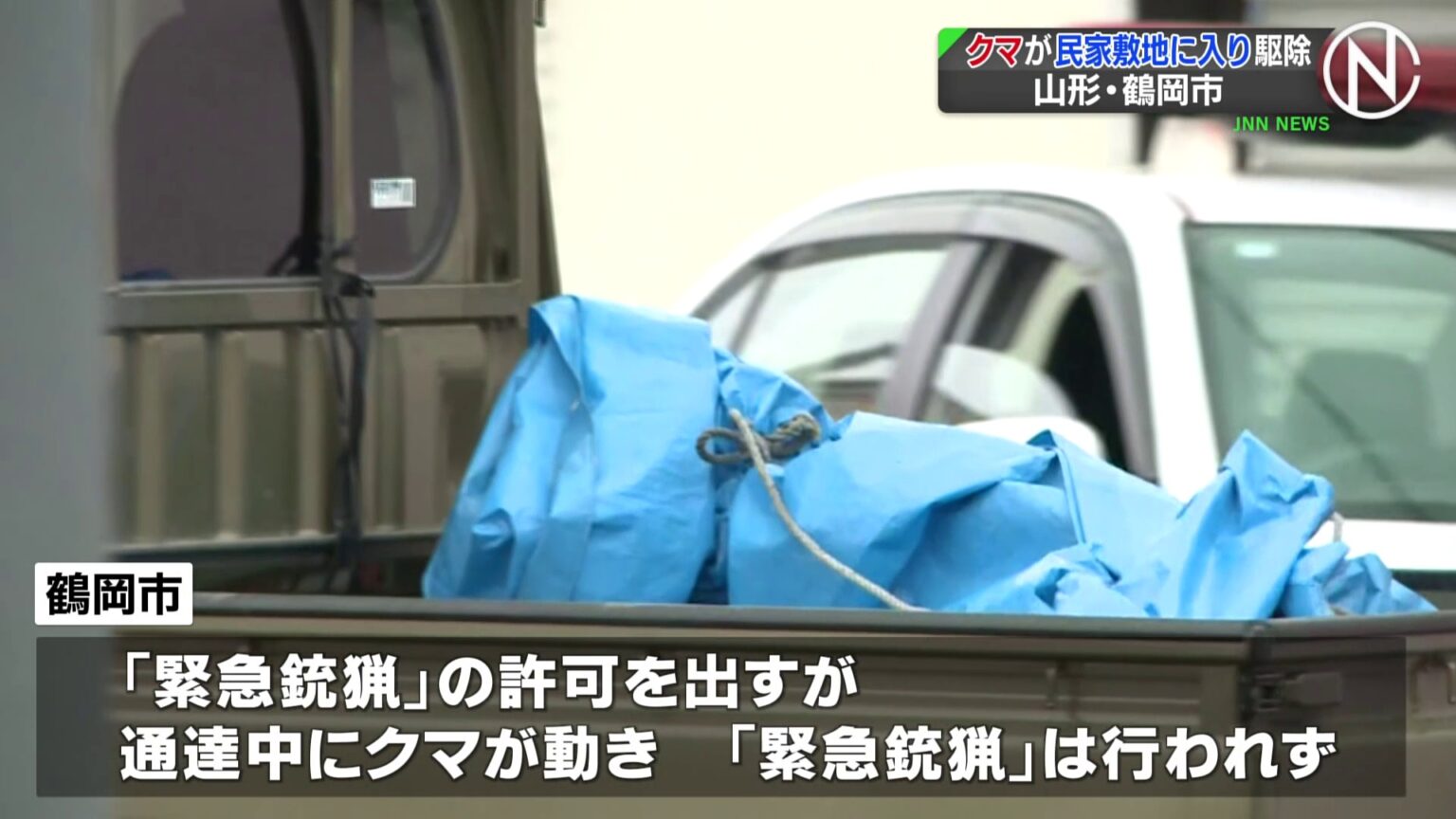 JR鶴岡駅前、民家の敷地にクマ　警察が発砲を命じ猟友会ハンターが駆除　現場はスーパーや飲食店、住宅が並ぶ地域　山形・鶴岡市（TBS NEWS DIG Powered by JNN）