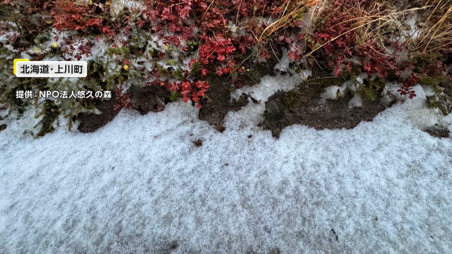 北海道からは“初雪”の便りも…東京都心は3日ぶり30℃超 列島各地の表情は（FNNプライムオンライン（フジテレビ系）） - Yahoo!ニュース - Yahoo!ニュース
