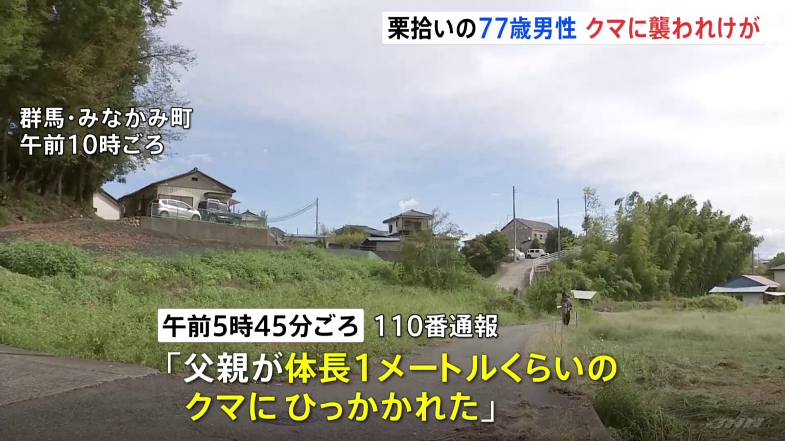 栗拾い中に背後から…　群馬県みなかみ町でクマに襲われ70代男性が軽傷　クマはその場から逃げ去る（TBS NEWS DIG Powered by JNN）