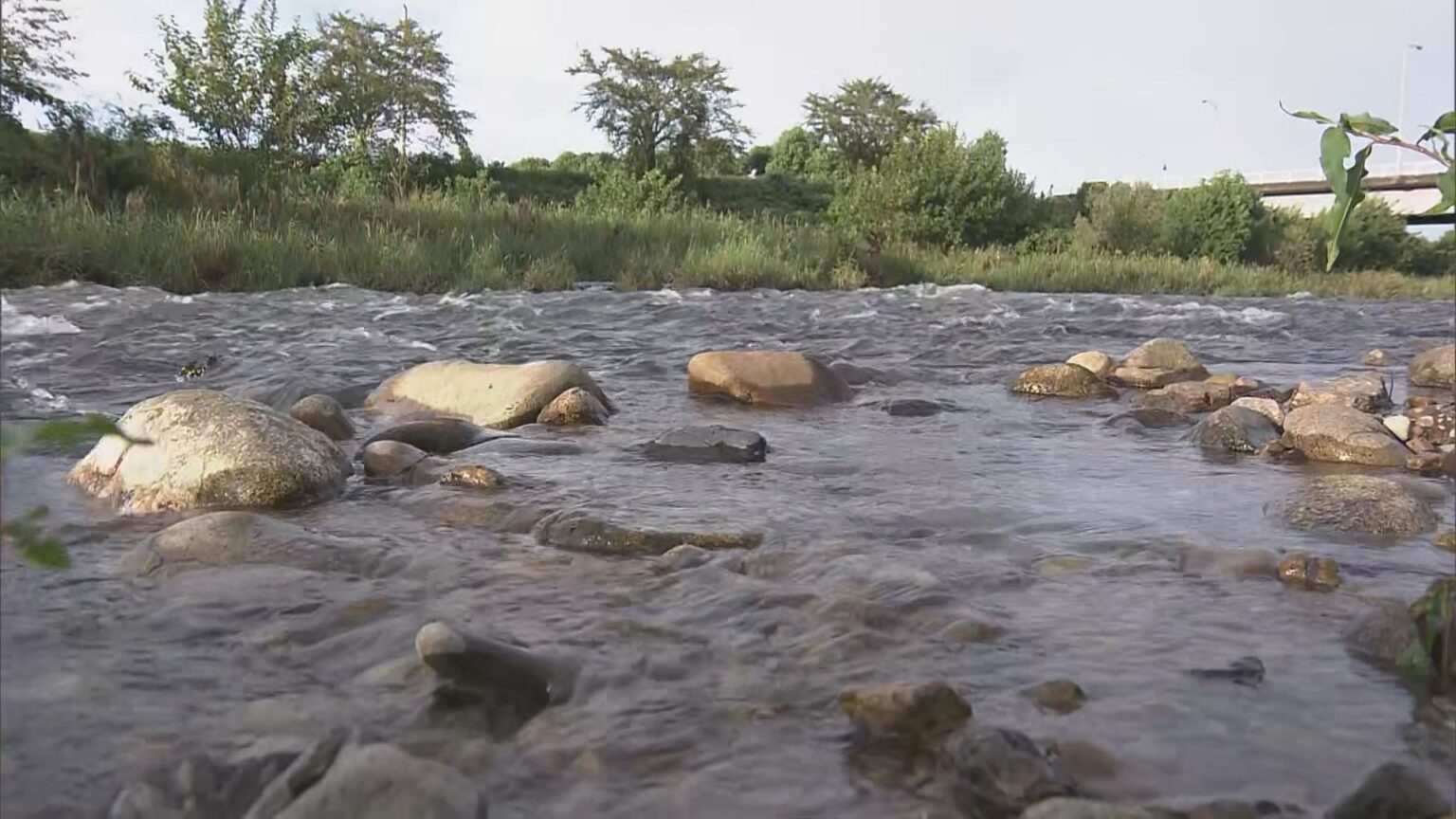 アユ釣りをしていた男性が川に流され死亡 20日に降った雨の影響で増水していたか 岐阜・関市（CBCテレビ） - Yahoo!ニュース