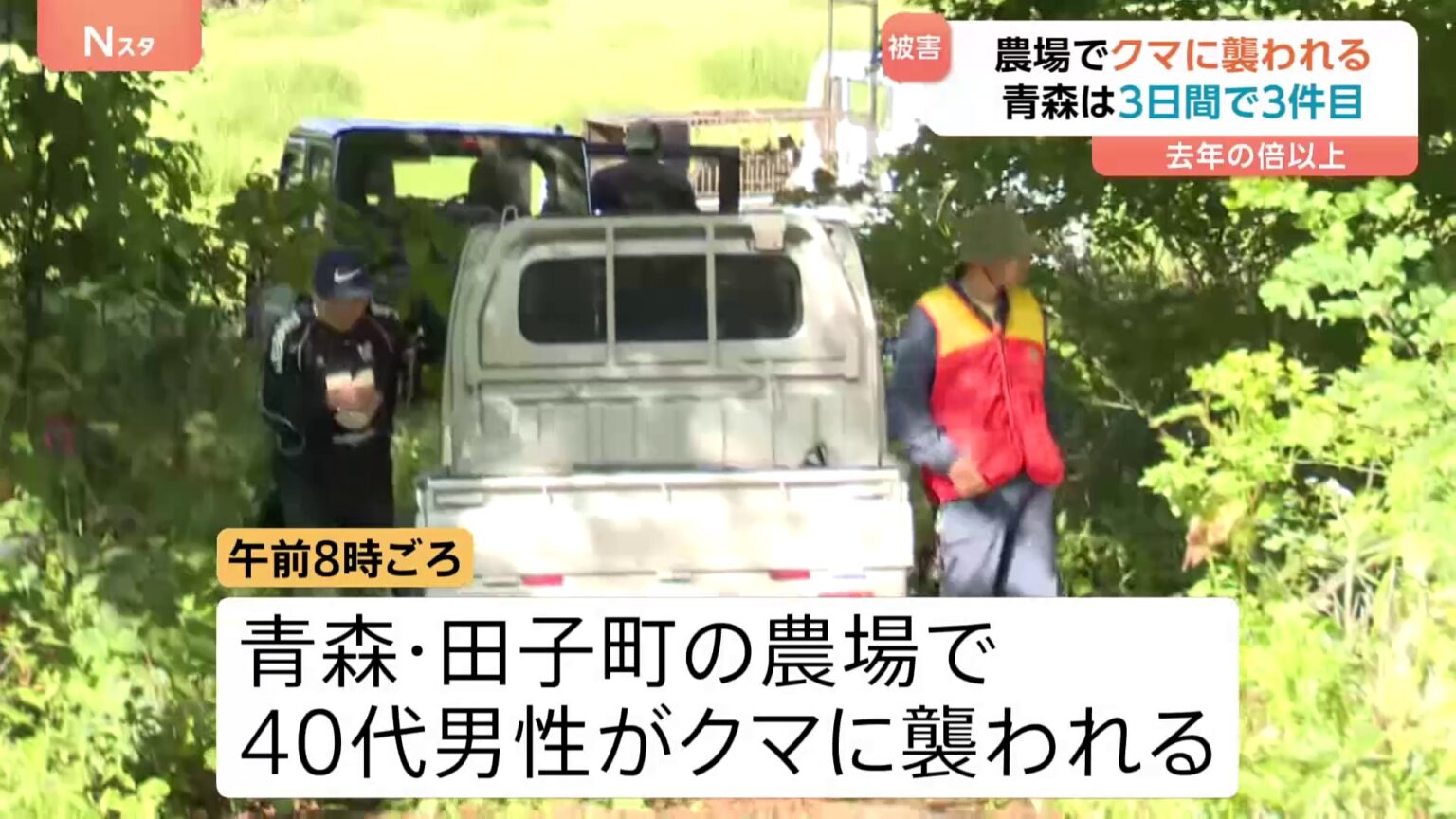 40代男性がクマに襲われけが…青森では3日間で3件目被害　今年すでに1580件で去年の倍以上（TBS NEWS DIG Powered by JNN）