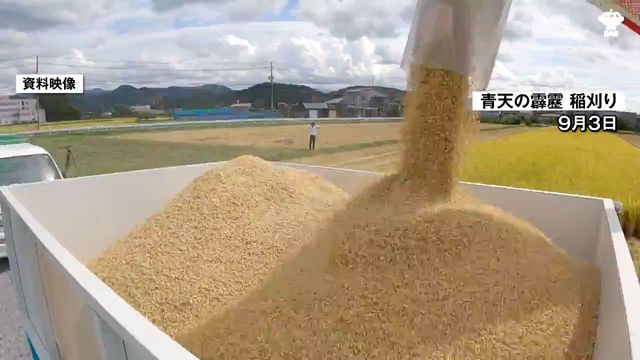 青森県の「稲刈り始め」は過去10年間で2番目の早さ 進捗率は26％（青森放送） - Yahoo!ニュース