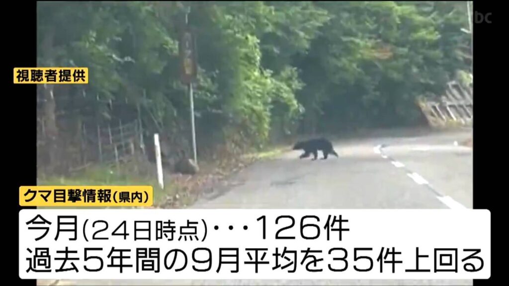 「クマ出没警報」を10月末まで延長 9月12日には宮城県内で2025年度初の人身被害も（tbc東北放送） - Yahoo!ニュース - Yahoo!ニュース