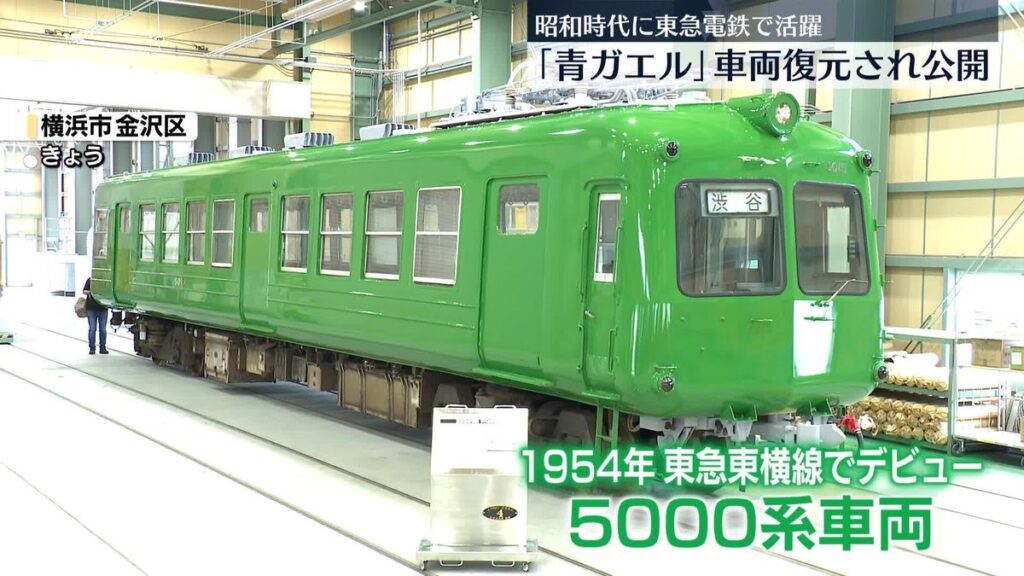 日本テレビ放送網