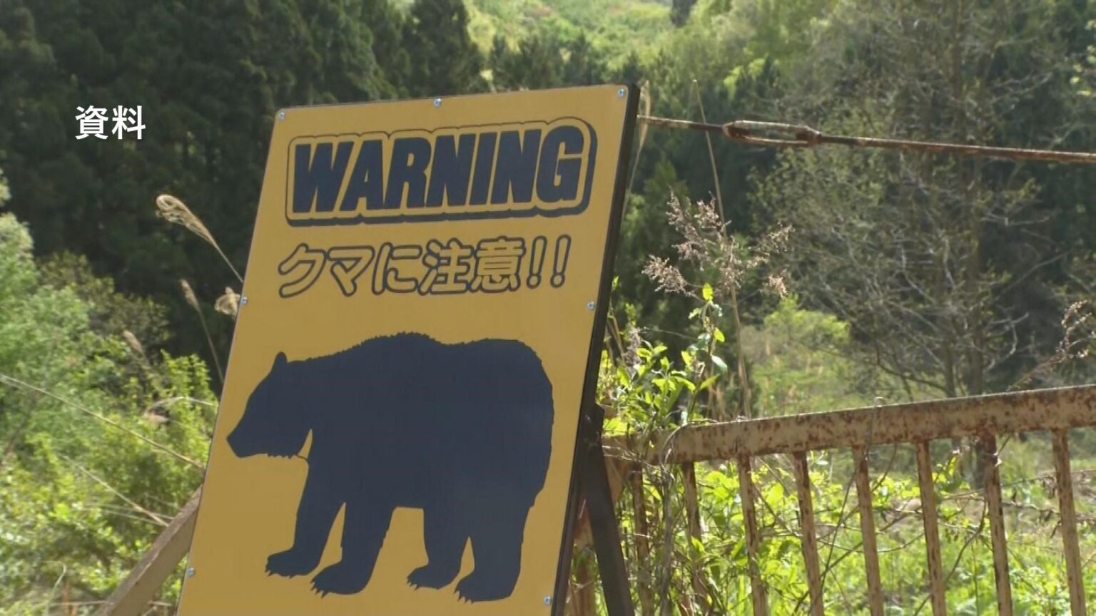 【クマ出没情報】二本松市と南会津町で道路横断するクマ目撃 福島（TUFテレビユー福島） - Yahoo!ニュース - Yahoo!ニュース