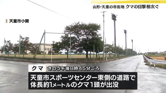 山形県内でクマの出没相次ぐ 山形市と天童市の住宅街でクマの目撃情報（YBC山形放送） - Yahoo!ニュース - Yahoo!ニュース