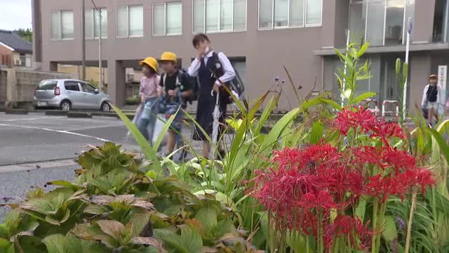 29日夜遅くにかけて土砂災害や低い土地の浸水、河川の増水に注意・警戒を（富山テレビ） - Yahoo!ニュース - Yahoo!ニュース
