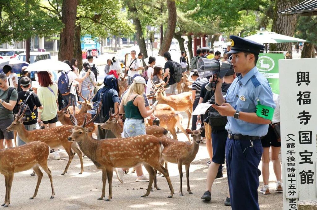 自民・高市氏、奈良のシカを「日本人も外国人も大事に」 観光関係者は「叩く蹴るは日常」（産経新聞） - Yahoo!ニュース - Yahoo!ニュース