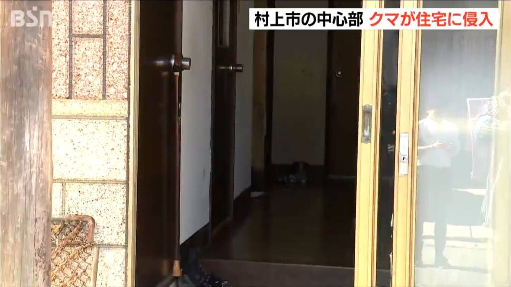 クマがガラスを割って民家に侵入 住人2人は2階に逃げて無事　新潟・村上市（ＢＳＮ新潟放送） - Yahoo!ニュース