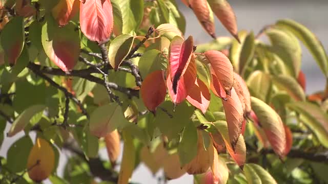 30日の富山県内は汗ばむ陽気に 午後は気圧の谷や湿った空気の影響を受けてにわか雨の所も（富山テレビ） - Yahoo!ニュース - Yahoo!ニュース