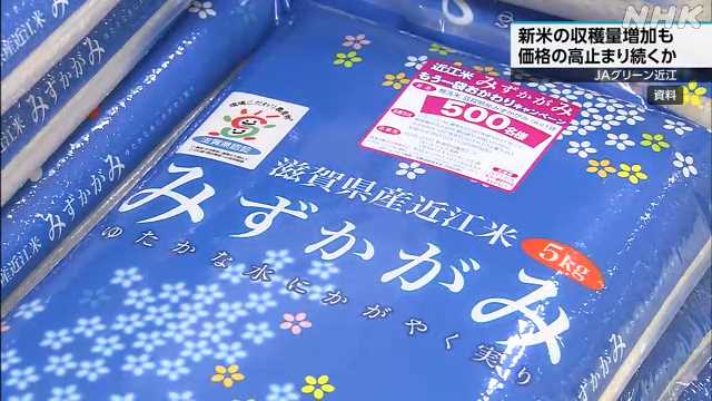 ＪＡグリーン近江 “新米の収穫量増も価格は高止まり” 滋賀｜NHK 滋賀県のニュース
