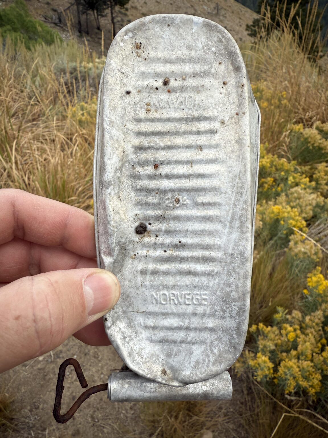 S-Central Idahoの放棄された鉱山の近くで発見されました