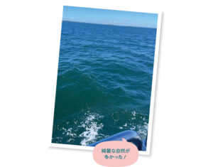 Vol.4 オーストラリア編!フレンドリーな国民性と、治安の良さから留学先として人気の“オーストラリア”を紹介!