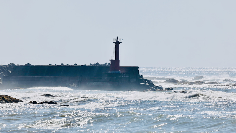 スクリーンショット 2025-09-11 11.51.09