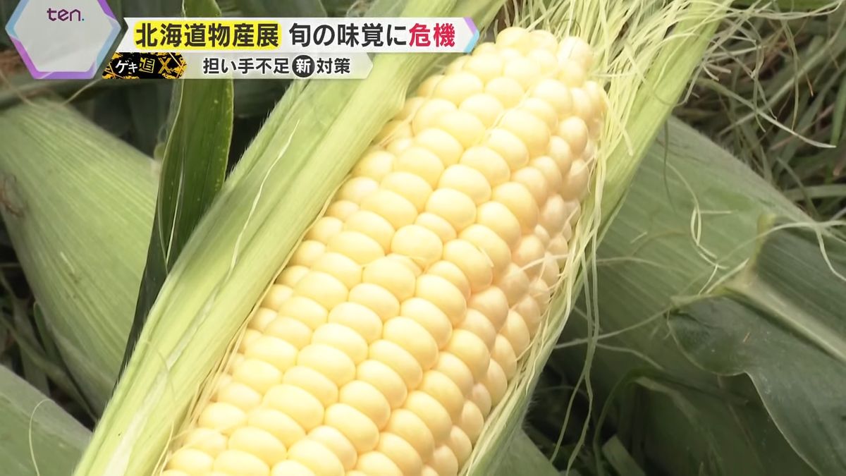 【悲鳴】「旬のものがない」“日本の食糧庫”北海道が崩壊寸前⁉猛暑で不作・害虫…『北海道物産展』敏腕バイヤーを悩ます北の大地の“異変”