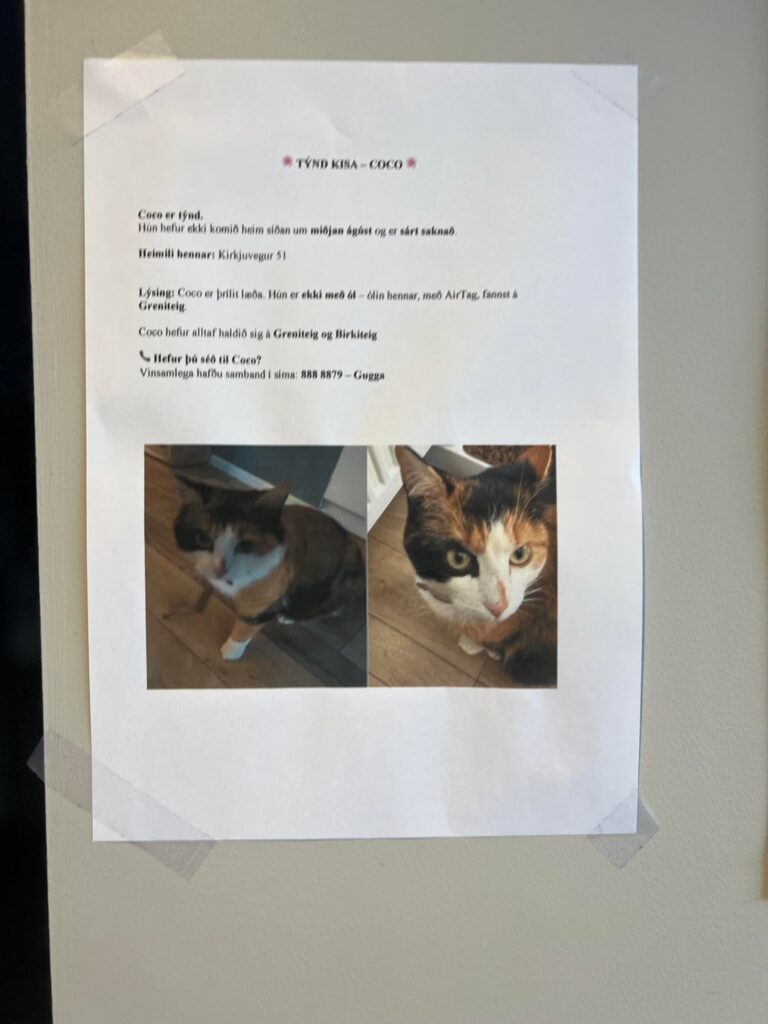私は失われた猫を見つけたかもしれませんが、私は助けが必要です