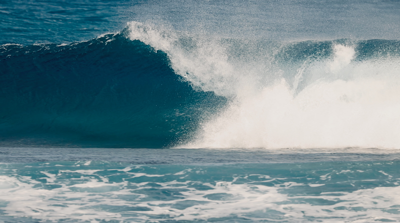 スクリーンショット 2025-09-30 8.59.44