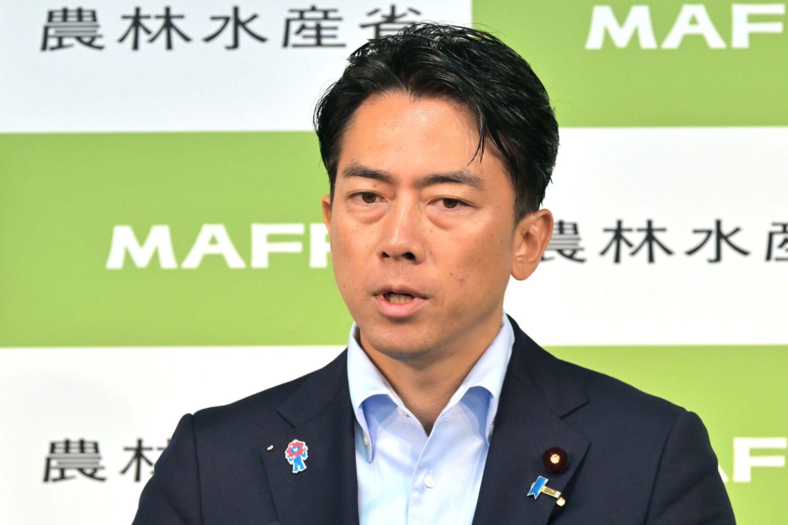 小泉進次郎陣営が「ニコニコ動画」で“ステマ指示” 「石破さんを説得できたのスゴい」など24パターンのコメント例、高市氏への中傷も…（文春オンライン） - Yahoo!ニュース