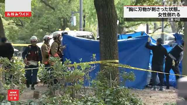 広島 中区 女性の胸に刃物が刺さった状態 “自分で刺した” - nhk.or.jp