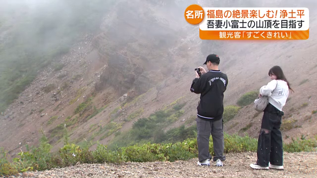 共有