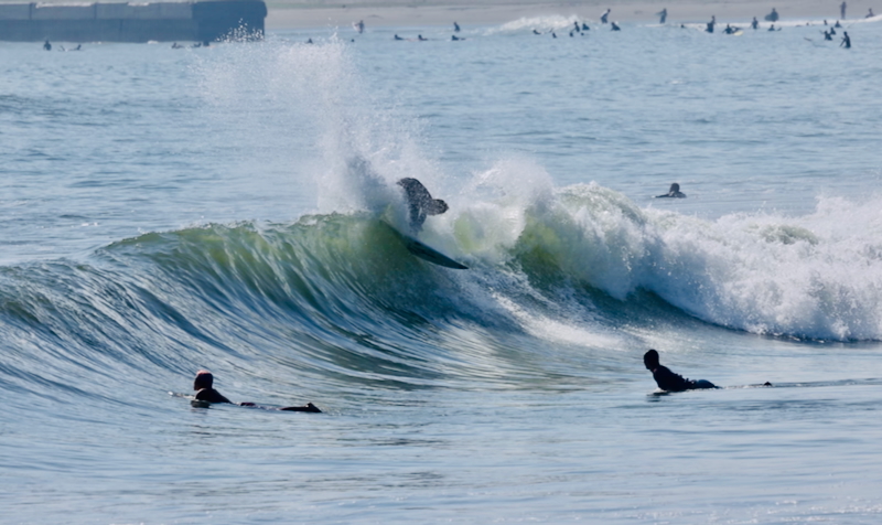 スクリーンショット 2025-09-11 18.24.22