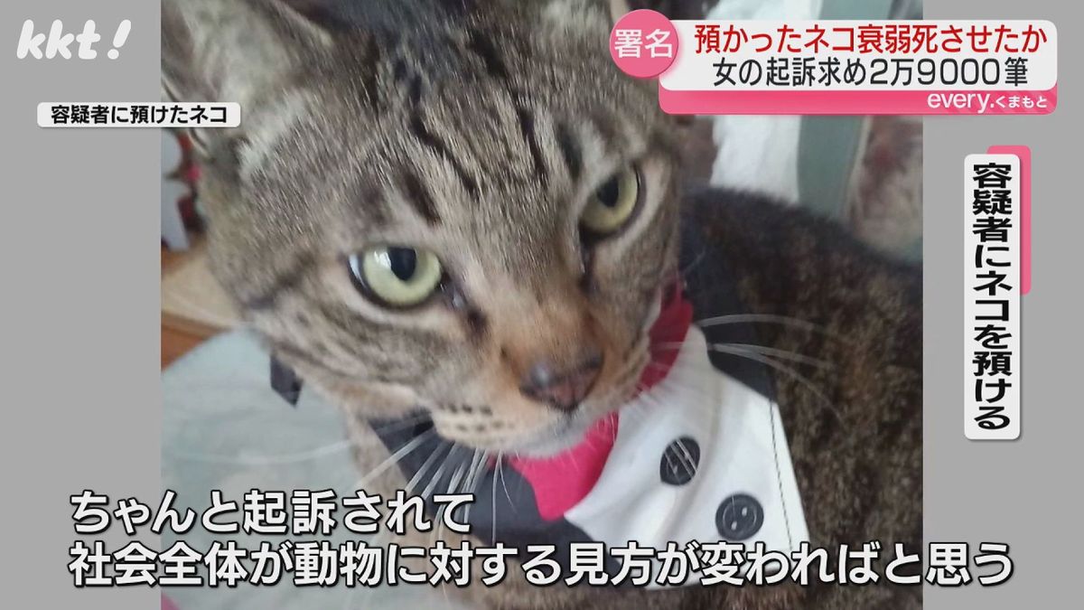 【ネコ大量死】｢逮捕された預かりボランティアの起訴を｣保護団体や預けた人などが署名提出
